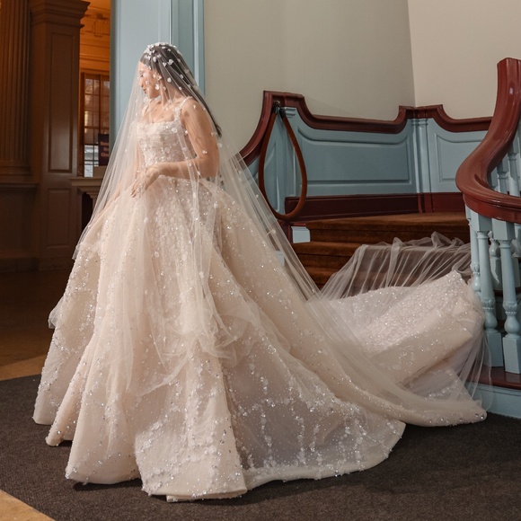 Steven Khalil Jaz Wedding Gown - Picture 4 of 16